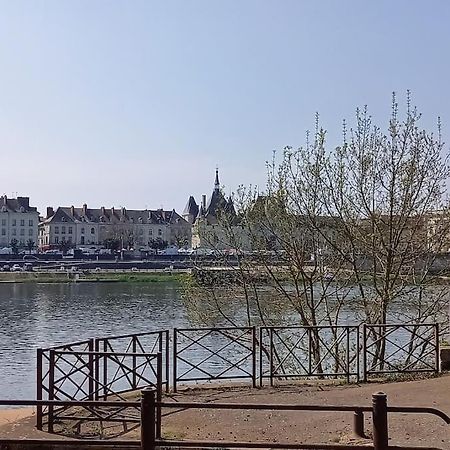 Les Marronniers Appartement Centre Saumur Bord De Loire Eksteriør billede